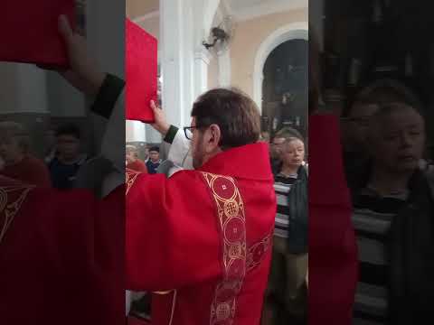 📣 DEIXE EU LHE DIZER UMA COISA:  SÃO PEDRO APÓSTOLOjose=ornellas