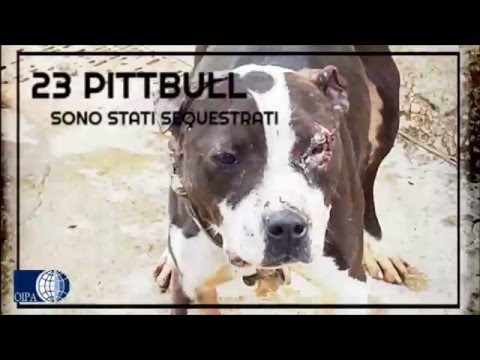 Il problema del gomito Trattamento ospedaliero 2 città di colonna vertebrale
