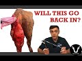 VET TRIES TO FIX COW UTERINE PROLAPSE VLOG 37 A Bovine Uterine Prolapse
