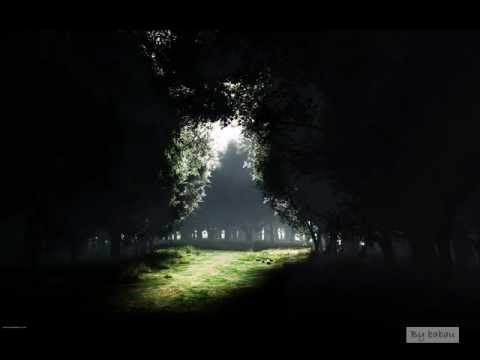 Ursul Trubadur - old times, good times