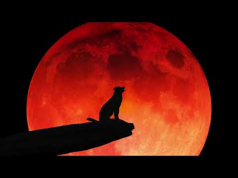 jAMaL - La Joggeuse \\ halloween \\ 2024