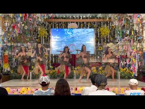 ARIO HASHIMOTO Otea Amazon