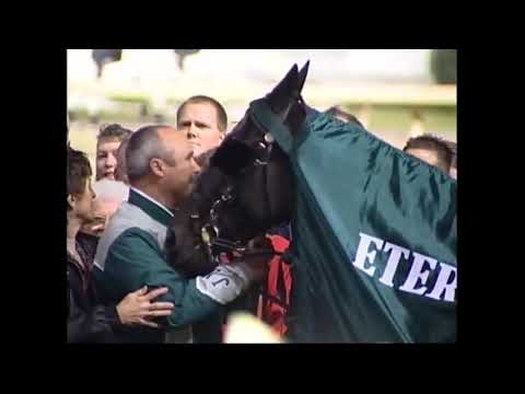 2013 CHRHF Standardbred Inductee Eternal Camnation