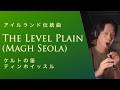 【Full】ケルトの笛で『The Level Plain (Magh Seola)』アイルランド伝統曲 #ティンホイッスル