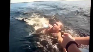 Приколы с пьяными смешными людьми, животными