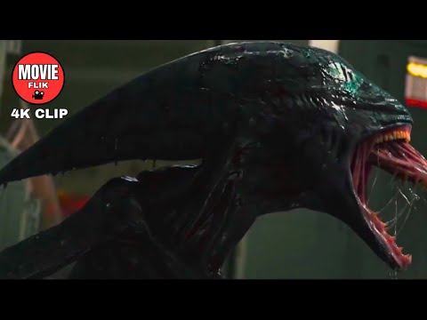 Xenomorph Is Born | Prometheus (2012) | 4K Movie Clip