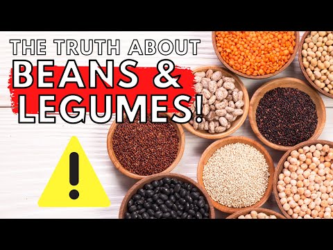 , title : 'Apakah Kacang Sehat? | 4 Alasan untuk MENGHINDARI Kacang dan Legum!'