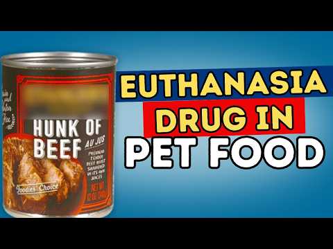 Pet Food Recall: Euthanasia Drug Found in Dog Food | How to Protect Your Pets