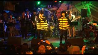 Classic &quot;King Bee&quot; performed by a Japanese Blues Brothers Band
