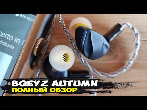 Bqeyz Autumn review: dynamic headphones that amazed me