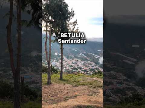 Betulia Santander 💚