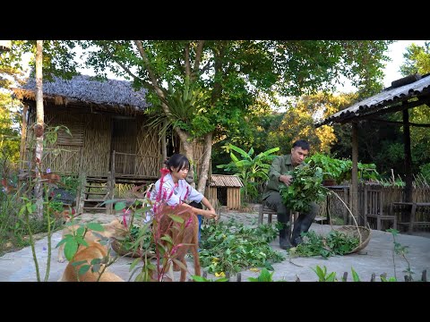 Ich besuche meine Schwester Son Thon und helfe ihr, ihr Haus zu renovieren