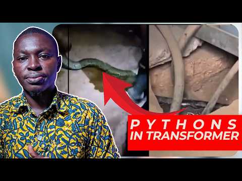 Onufu Snake Invades Power Station