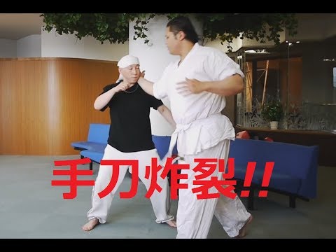 【パンチより速い！手刀の使い方】ハヤテ流格闘技