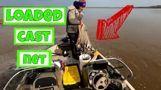 Loaded Cast Net With BIG Gizzard Shad (50-50 Method) || James River || Catching Bait
