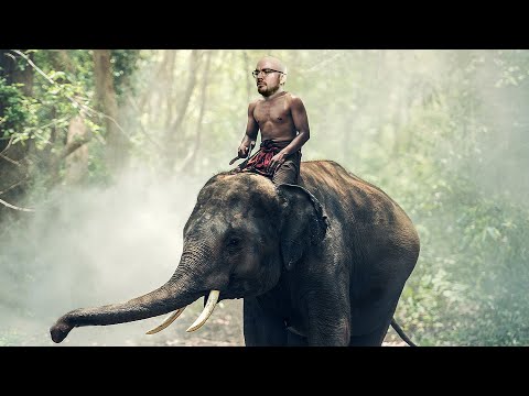 Demuslim shows Delhi build order [Aba-Del]