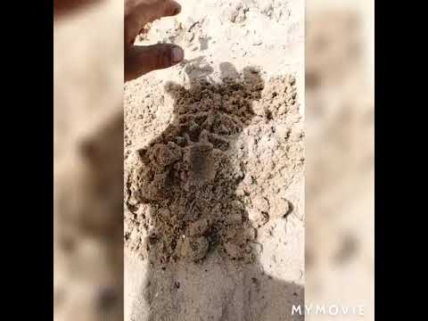 Hit the jacpot on sinkers. Yes boy!!!