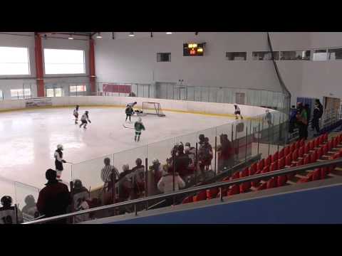 12.3.2016 Mladší žáci  HC Slavoj Č.K. : HC Domažlice