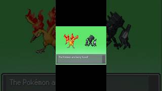 Amazing! Moltres and Necrozma Fusion #pokemon #pokemontcg #pokemoncommunity #pokemonfan