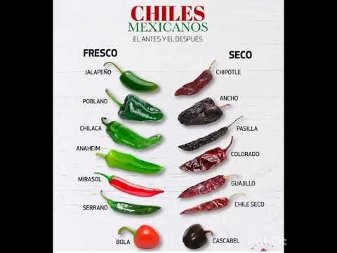 chilli types