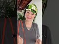 O Que Será Que Ele Quis Dizer ‍ Chaves VTV SBT Kiko Serie Humor Reels