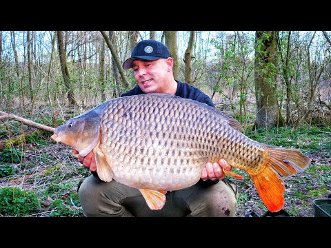 Karpfenangeln VTB 79 - Frühjahrsbeginn am kleinen Fluss //Mit Waterwolf 1.1 Unterwasseraufnahmen