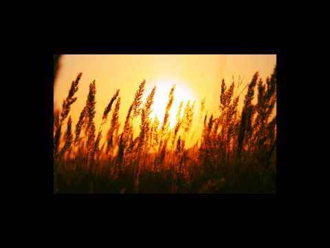 Matt Darey & Aeron Aether feat. Ridgewalkers - Chasing The Sun (Original Mix)