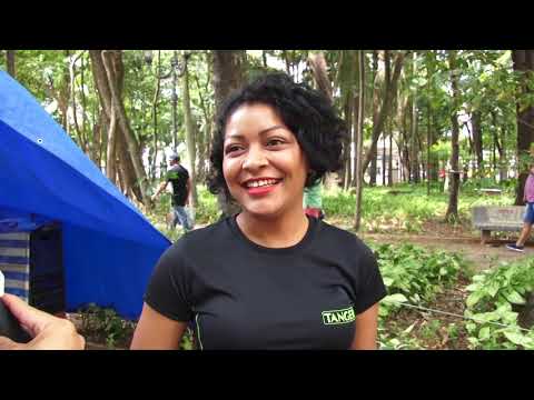 Há poucos dias das eleições eleitores continuam com voto indefinido