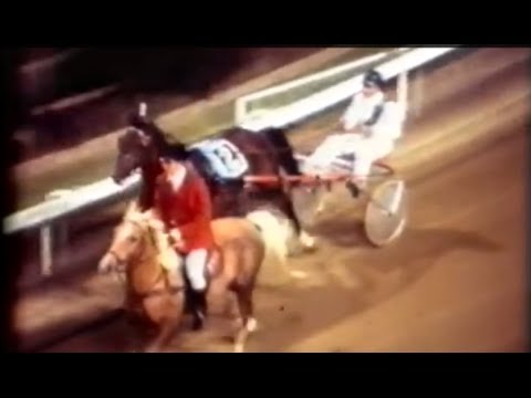 Harness Racing,Harold Park-25/03/1977 Pacers Derby (Rip Van Winkle-M.Vanderkemp)