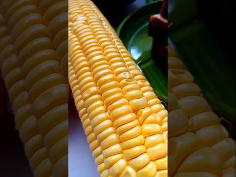 Avacado bread toast| Healthy breakfast recipe