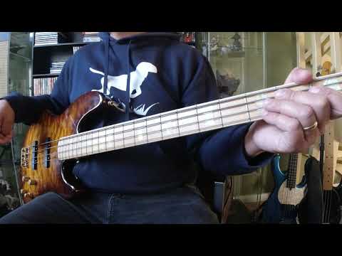 Ian Dury - Hit Me With Your Rythm Stick (quick bass cover)