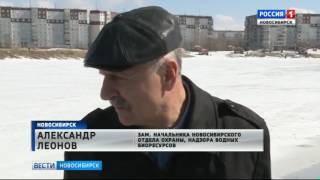 Ссылка
