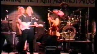 NRBQ &quot;Rocket in my Pocket&quot;  at the Grassroots Festival in Trumansburg, New York 1993