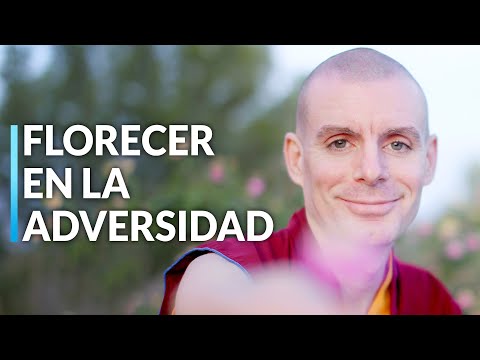 Lama Rinchen Gyaltsen || Florecer en la adversidad