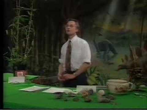 Dawkins: Lecture 2. Designed and Designoid Objects (1of 6)