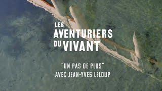&quot;Un pas de plus&quot; avec Jean-Yves Leloup