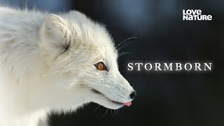 Stormborn | Love Nature