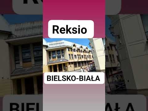 Bielsko-Biała -Reksio🤠👍