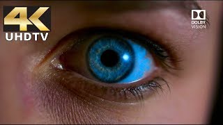 LG 4K Demo - Dolby Vision in True Theater Surround