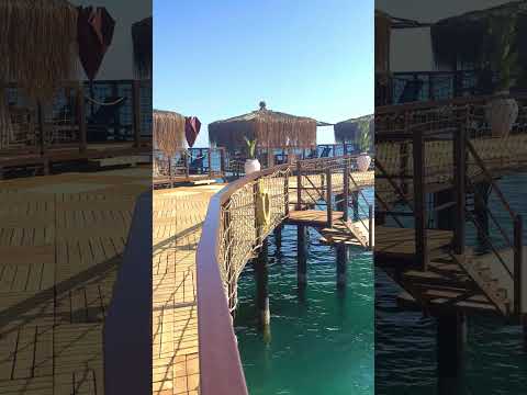 Videos del Blue Marlin Deluxe Spa  Resort 5★ en Konaklı, TurquíaVer MásVerPrecios16CerrarConsulta por Whatsapp 🇦🇷BookingTripadvisorExpediaAgodaTravelocityOrbitzTripSkyscannerDespegarKayakHotelesDestiniaTrivagoLastminuteTuiWotif