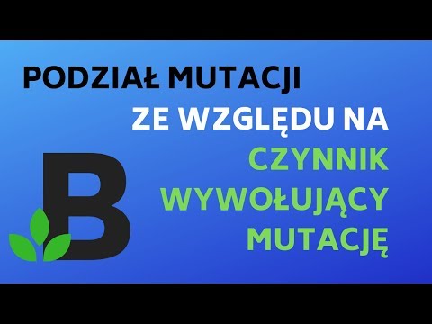#MUTACJE podział mutacji ze wzgl na czynniki wywołujące - #genetyka - KOREPETYCJE z BIOLOGII - 222
