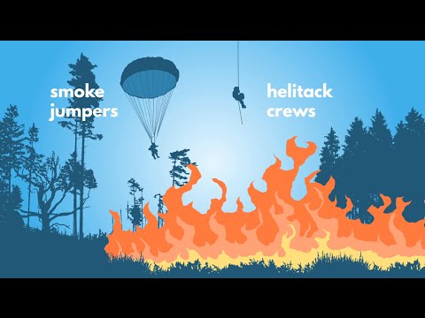 Video: How Do Firefighters Stop A Raging Wildfire? | KQED