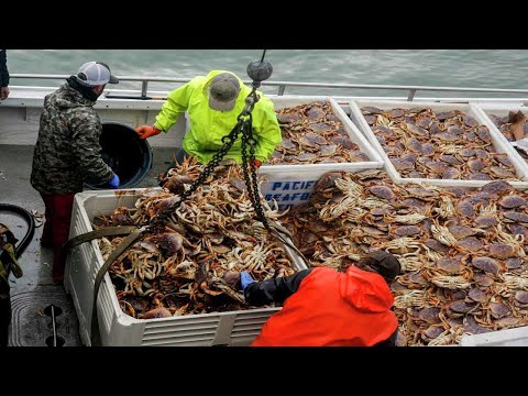 Everyone should watch this Fishermen's video - Commercial Dungeness Crab Fishing in the Deep Sea