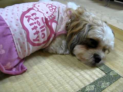 いつもそばには・・・