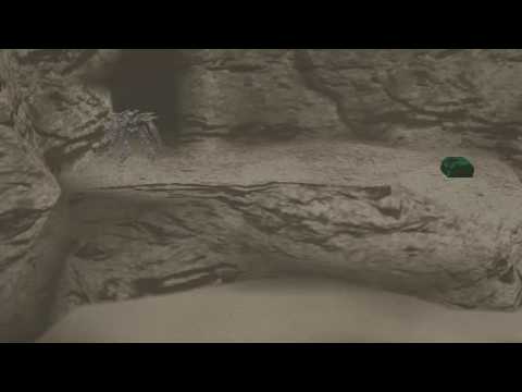 Let's Play Xenosaga Episode II - Part 56 - Duneman Isle