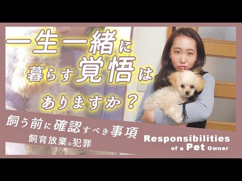 国際関係学科 【飼う前に必ず確認してほしい！】一生一緒に暮らす覚悟はありますか？