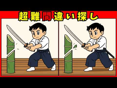 格闘技の間違い探し動画 - タップで再生