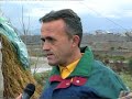 Lopa Ne Televizor Humor Shqip