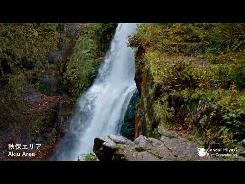 12 　秋保エリア