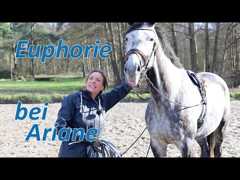 Euphorie bei Pferdetrainerin - Ist der Knoten bei Falco endlich geplatzt?